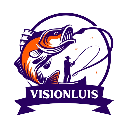 visionluis